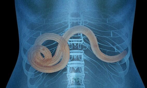 Parasit im menschlichen Körper